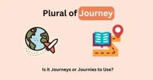 Is it Journeys or Journies